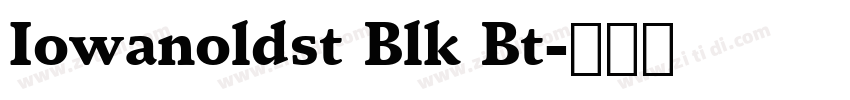 Iowanoldst Blk Bt字体转换